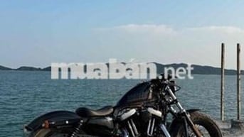 Harley Davidson 48 2014 giá trải nghiệm