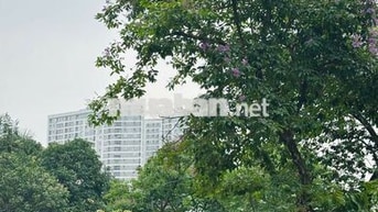 CC OCT5A - RESCO CỔ NHUẾ - 2N 2VS - TẦNG ĐẸP - GIÁ CỰC TỐT