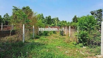 Chủ ngộp bán gấp lô đất 122m2 Đ. Trần Văn Chẩm, Củ Chi. Giá 900 triệu