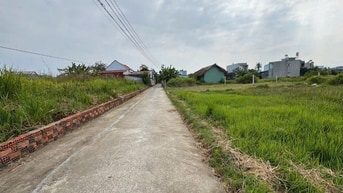 Bán đất hẻm ô tô Lý Thái Tổ gần chợ đại Phước 81m2 ngang 5m giá 1.75tỷ