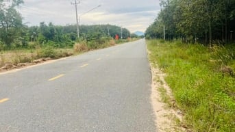 700m2 mặt tiền đường DT749B thuận tiện kinh doanh buôn bán