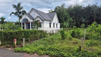 Ngộp!!! Bán Đất Đường Nhựa 7m 250M2 100M2TC Ngay THCS AN LINH 