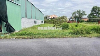 Đất Thổ Cư 500m² Mặt Tiền Nhựa 6m Gần TL825 Đức Hòa, Giá Ngộp 4.8 Tỷ