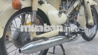 Honda Little Cub 50 Trắng kem