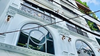 Nhà 6 Lầu thiết kế cổ điển hxh 76/65 Bạch Đằng giá: 14 tỷ