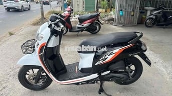 Honda Scoopy 2020 Trắng đen