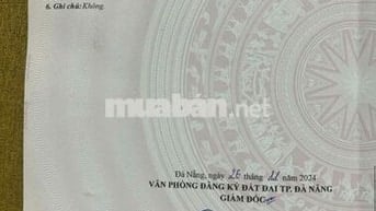 Nguyễn Thành Long , View Công Viên