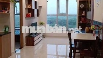 Cần cho thuê căn hộ chung cư Terra Mia, 2PN, Full nội thất, ở ngay