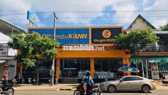 Nói thẳng ra là thiếu nợ quá không còn sức trả nữa nên cần bán bấm bụn