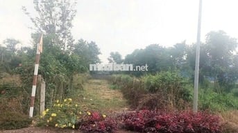 Tôi cần bán nhanh lô đất chính chủ tại Thị trấn Kim Long