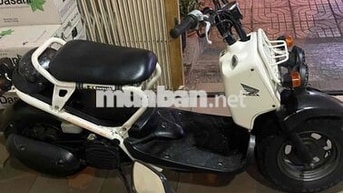 Honda Zommer 50c Trắng, Đen