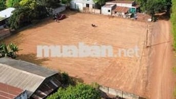 537m2 sổ riêng thổ cư, ngang 10 ngay khu công nghiệp bàu xéo