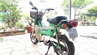 Honda Chaly màu Xanh lá