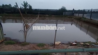 Nhà vườn 2000m có ao vườn. nhà tôn. Đường kênh trung ương Vĩnh Lộc B 