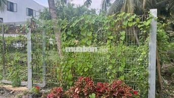 ĐẤT AN THẠNH 10 283M2 CÓ 141M2 THỔ CƯ ĐƯONG XE HƠI TIỆN XÂY DỰNG