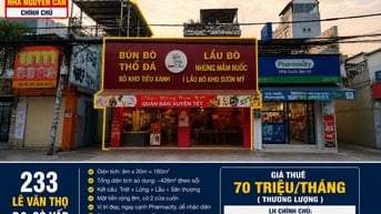CHO THUÊ NHÀ MẶT TIỀN KINH DOANH 233 LÊ VĂN THỌ – GÒ VẤP