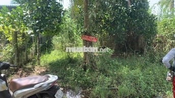 Bán đất nền gần QL80, Tỉnh Đồng tháp.