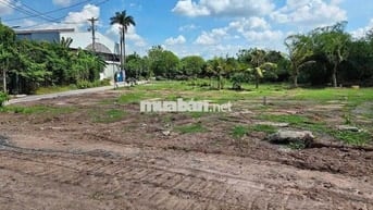 BÁN 441M2 ĐẤT Ở TÂN AN HỘI GIÁ 800TR - BÀU TRE - KCN TÂY BẮC - SỔ HỒNG