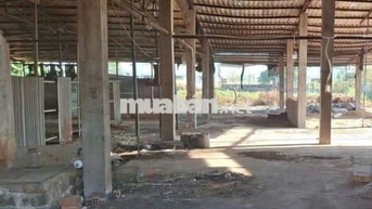 xưởng cho thuê Tân hiệp hóc môn đường container