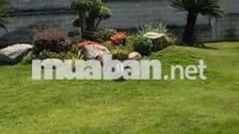 Nhà vườn Củ Chi, 3 mặt hẻm xe hơi, Tân An hội, TPHCM
