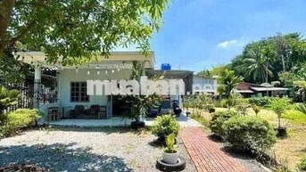 chú 7 kẹt tiền cần bán gấp bán lổ