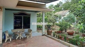 🌿 VỀ VƯỜN Ở LIỀN – GIÁ MỀM CHỐT NHANH 🌿