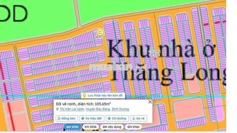 Bán đất nền KDC Đức Phát 3 ngay mặt đường lớn, 105 m2