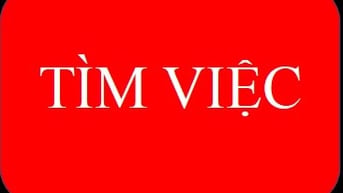 Nữ, 17 năm kinh nghiệm kế toán tổng hợp, kế toán trưởng