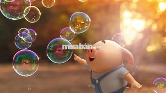 Mình cần bán gấp nhà mặt tiền Lê Văn Thọ