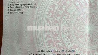 🏡Cần bán lô đất đẹp tại Bình Thủy – TP Cần Thơ