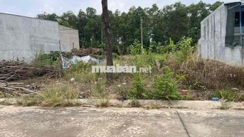 Bán Đất Chánh Phú Hoà , 1tỷ3xx ,Có ht Bank 5x20