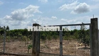 SIÊU PHẨM SECOND HOME SÁT VÀNH ĐAI 3 tại xã Vĩnh Thanh, Nhơn Trạch