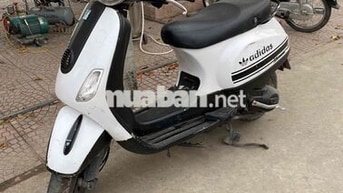 Xe máy cũ Đa dạng Hải Phòng