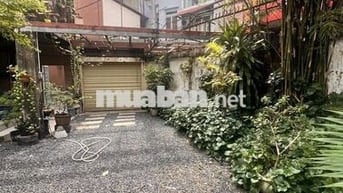ĐẤT NGON GIẢM MẠNH.  HOÀNG HOA THÁM - HXH - SÁT MT NỞ HẬU CHỈ 4T8 TL