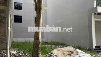 Con em chưa đủ 18t đã có bầu đang cần tiền khởi kiện nên ban nhanh
