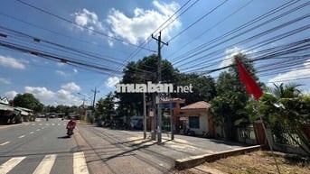 Bán đất xã Tân Hiệp, Bình Dương, đông dân cư cách DH507 100m, 338m2