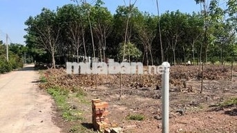 Bán đất An Linh Phú Giáo 200m² có 100m² thổ cư giá 700 triệu