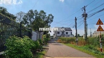 khu cây xanh vỉa hè nhựa thông ấp 5 sông trầu