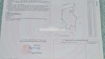 CÓ 1.913m2 ĐẤT TRUNG TÂM THỊ TRẤN TUY PHƯỚC - NGANG 30M