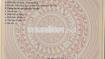 Bán đất tại Đan Tảo, xã Tân Minh, Sóc Sơn, TP Hà Nội