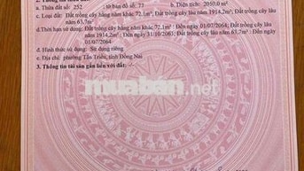Bán 2 sào mặt tiền Đường Ông Binh,P.Tân Triều, TP.Đồng Nai