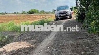 1000m2 có 290m2 thổ cư giá 1tyr150tr tân thành -thủ thừa đường ô tô