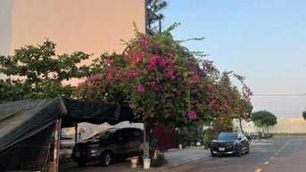 158m2/13,5 tỷ.Đất 2 M tiền, đường  Vũ Duy Đoán và Nguyễn Đình Trân.Sát