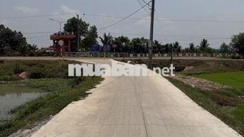 [CHÍNH CHỦ] CẦN RA CẶP ĐẤT LÚA ĐẸP - TRẢNG BÀNG, TÂY NINH