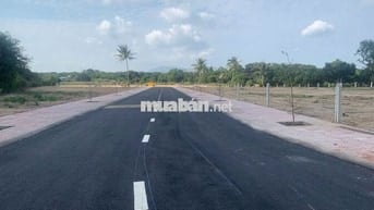 CHỈ TỪ 8,5 TRIỆU/m² – SỞ HỮU NGAY ĐẤT THỔ CƯ TRUNG TÂM CAM LÂM