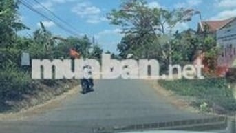 Đất thổ cư cách chợ Đạt Lý hơn 2km giá 320 triệu