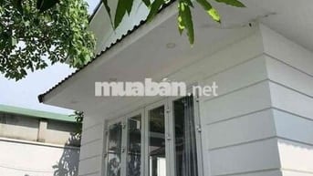 🌿 BIỆT THỰ VƯỜN BÌNH QUỚI – KHÔNG GIAN XANH GIÁ CHỈ 12TR 🌿