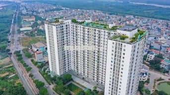 GIẢM SÂU 500TR! CĂN GÓC ECOHOME PHÚC LỢI 82M2 - 3 NGỦ - CHỈ 5.X TỶ