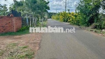 Chủ lớn tuổi về ở với con, nên bán nhanh vườn cây ăn trái giá 140tr