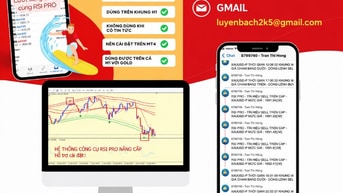 quan tâm forex người mới, hỗ trợ tư vấn sàn FPG